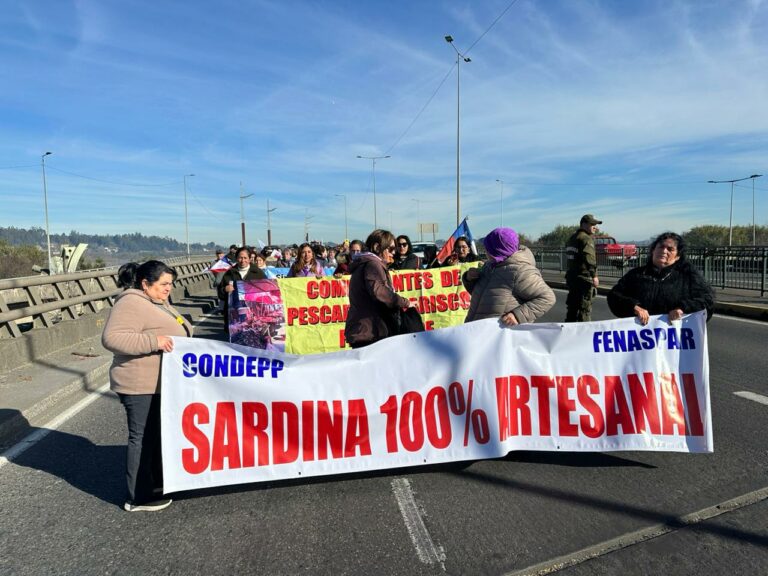 Pescadores artesanales marchan demandando fraccionamiento justo y una plataforma social para el rubro