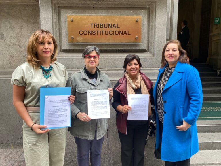 Senadoras ingresaron “téngase presente” para avalar legalidad del Decreto Supremo por Comisión contra la Desinformación