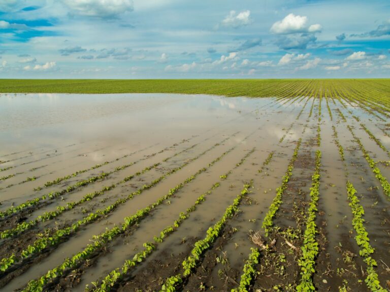 Especialista llama a generar estrategias de prevención para desastres naturales que afecten el agro