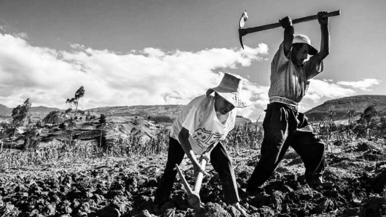 28 de julio: Campesinos/as celebran su día