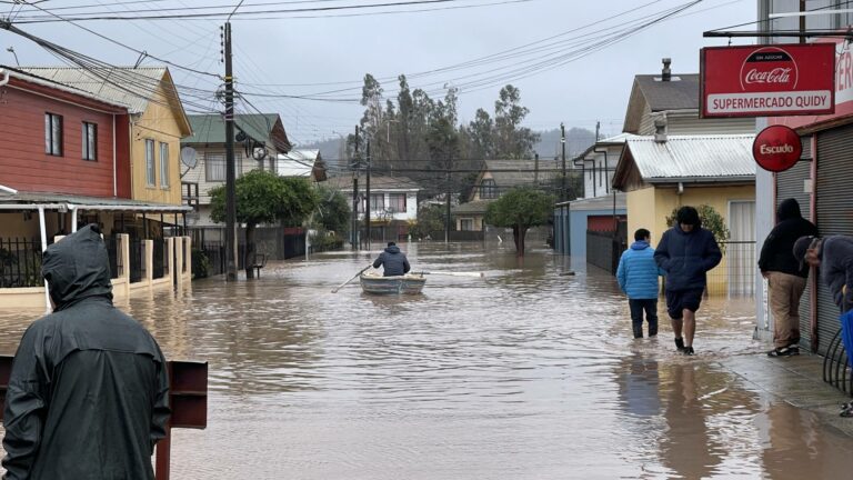 Autoridades de gobierno y locales se despliegan en El Maule activando el Plan de Recuperación y Ayudas Tempranas