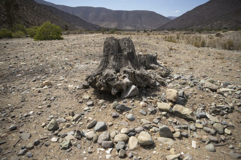 IPNs por la seguridad hídrica y la protección de las aguas buscan alzar los respaldos necesarios paras entrar a la discusión constitucional