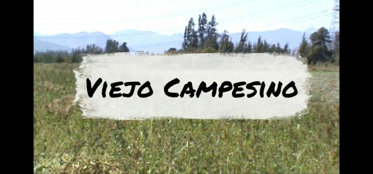 Viento Cultural, el proyecto musical de Miguel Durán que se conecta con el sentir campesino