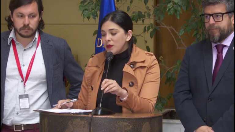 Parlamentarias/os encabezados por diputada Karol Cariola y diputado Jaime Araya solicitarán medidas para evitar alzas en cuentas de luz