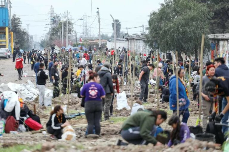 Vecinas y vecinos de Lo Espejo y Pedro Aguirre Cerda plantaron cientos de árboles en memoria de Víctor Jara y Littré Quiroga
