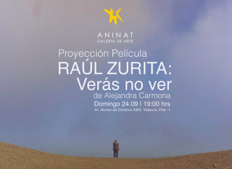 Película “Zurita, verás no ver” se proyecta en Galería Aninat este fin de semana
