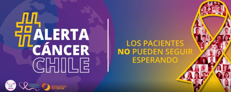 Directora del Observatorio del Cáncer sobre solicitud de alerta sanitaria: “Es la herramienta más potente”