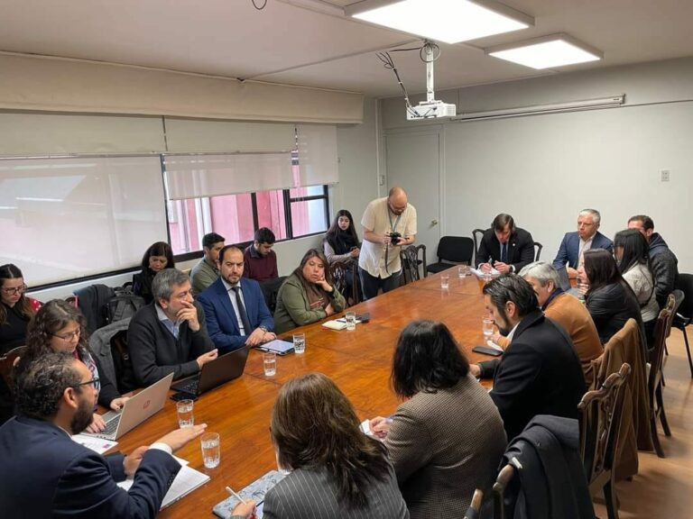 Presidenta del Sindicato de Profesores de Til-til: “Están haciendo morir la educación pública”