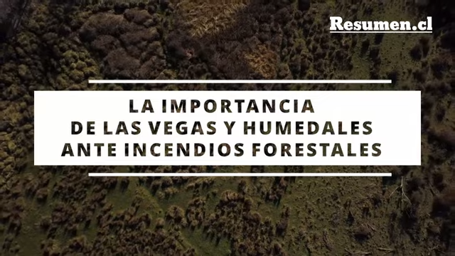 En Santa Juana se estrenó documental que demuestra la importancia de Vegas y Humedales ante incendios forestales