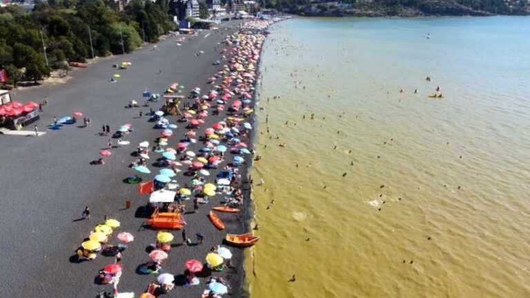 [Podcast] Entrevista a Andrea Handal de ONG Aguas Libres Villarrica por contaminación en el lago: “Efectivamente, estamos viendo morir al lago”