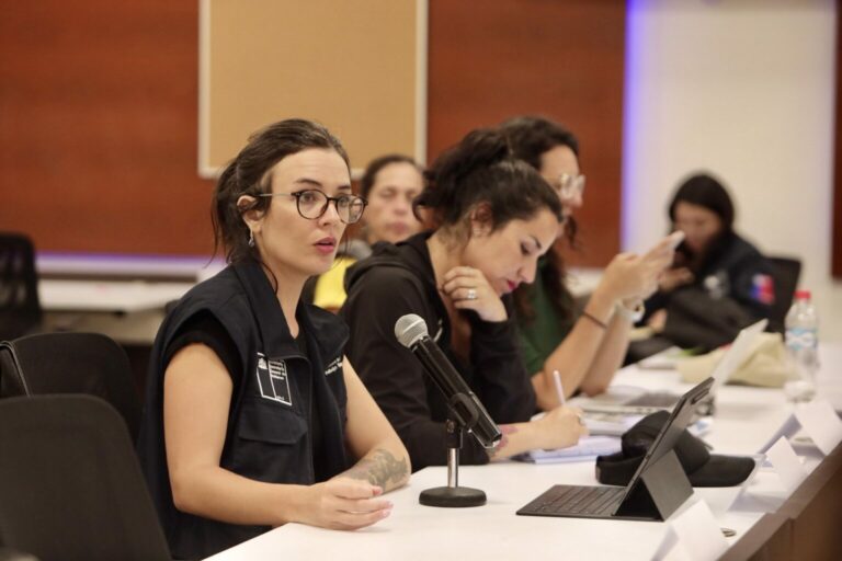 Ministra Vallejo por ley incendios: “Esperamos que una vez se retome las sesiones del congreso nacional se apruebe la primera semana”