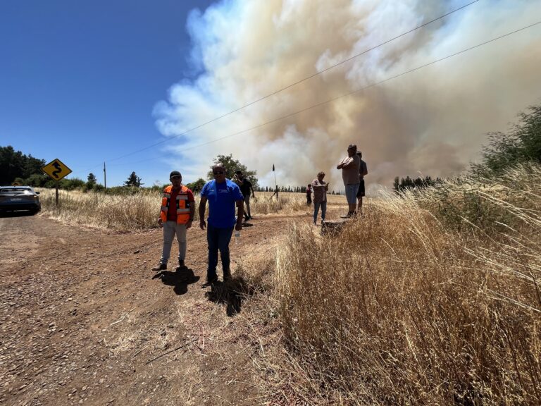 Alcalde de Galvarino, pide modificar la Ley de Bosques y apoyo con recursos para enfrentar Incendios Forestales