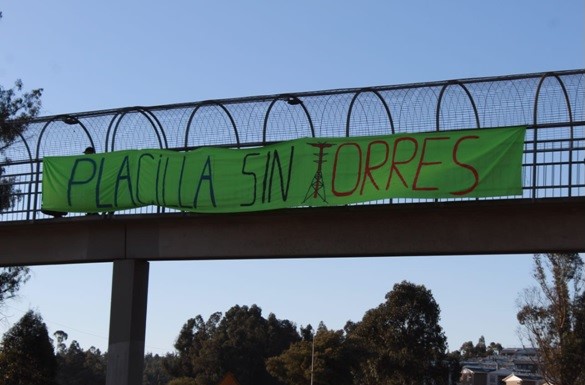 [Podcast] Entrevista con Sebastián López: 4 años de lucha para detener proyecto de torres de alta tensión que afectará gravemente la biodiversidad de Placilla