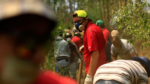 Diputada Serrano realiza un llamado a seguir solidarizando con los damnificados por los incendios forestales Diputada Serrano realiza un llamado a seguir solidarizando con los damnificados por los incendios forestales