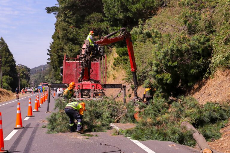 Ministro de Agricultura participa en despeje de arboles en la Ruta de la Madera, para prevenir incendios forestales