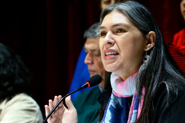 Bárbara Figueroa frente a la gestión de las empresas estratégicas: “Es importante mirar el control del Estado y su rol de garante”.