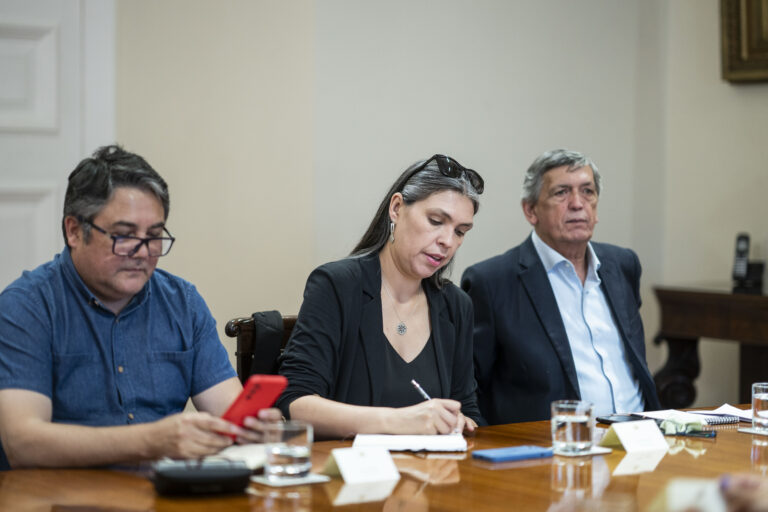 Bárbara Figueroa sobre elecciones de octubre: “Estamos por un proceso no sólo transparente y riguroso sino también dinámico, ágil y convocante”