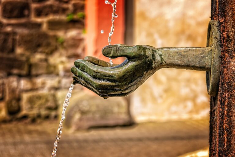 El valor del agua: Protegiendo un recurso esencial