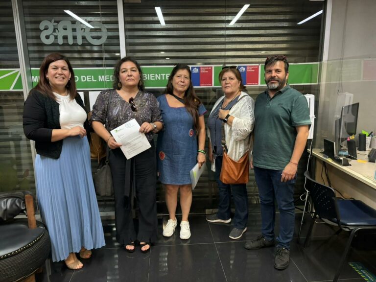 Crisis en el Servicio de Evaluación Ambiental: Denuncias contra su Directora Ejecutiva Valentina Durán