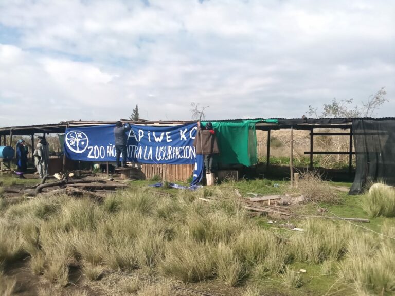 Organizaciones y comunidades mapuche se reúnen en Santiago y reivindican el legado de Tapihue
