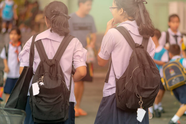Ley de Inclusión Escolar: Potencialidades y debilidades