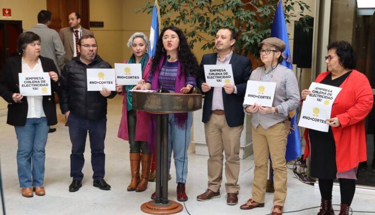 Daniela Serrano y Luis Cuello ingresan proyecto para creación de la Empresa Chilena de Energía Eléctrica