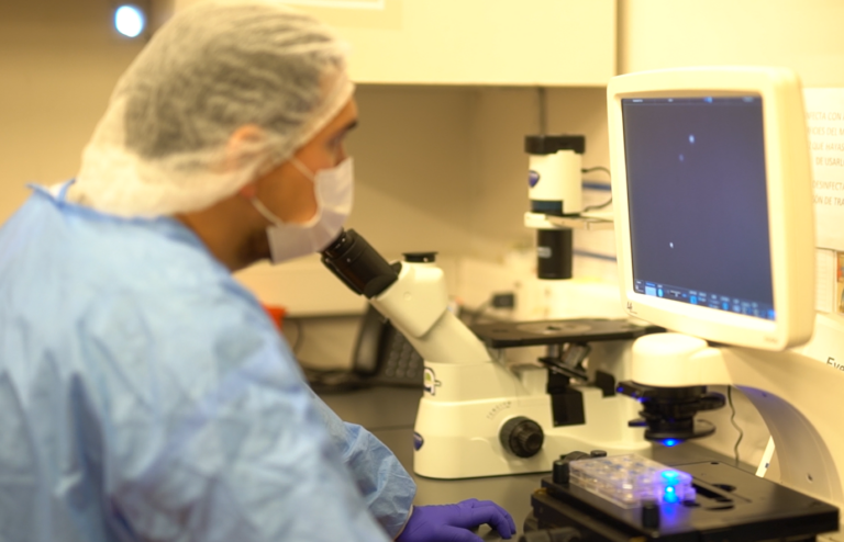 Laboratorio produce anticuerpos  para combatir el cáncer gástrico