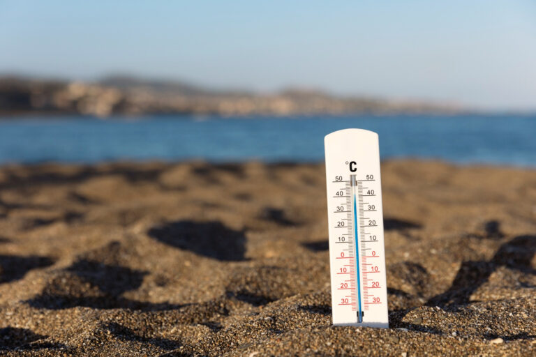 Sudamérica en llamas: el peligroso aumento del número de días con condiciones extremas de calor, sequedad y alto riesgo de incendios