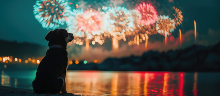 Fuegos artificiales: Infierno de fin de año para las mascotas
