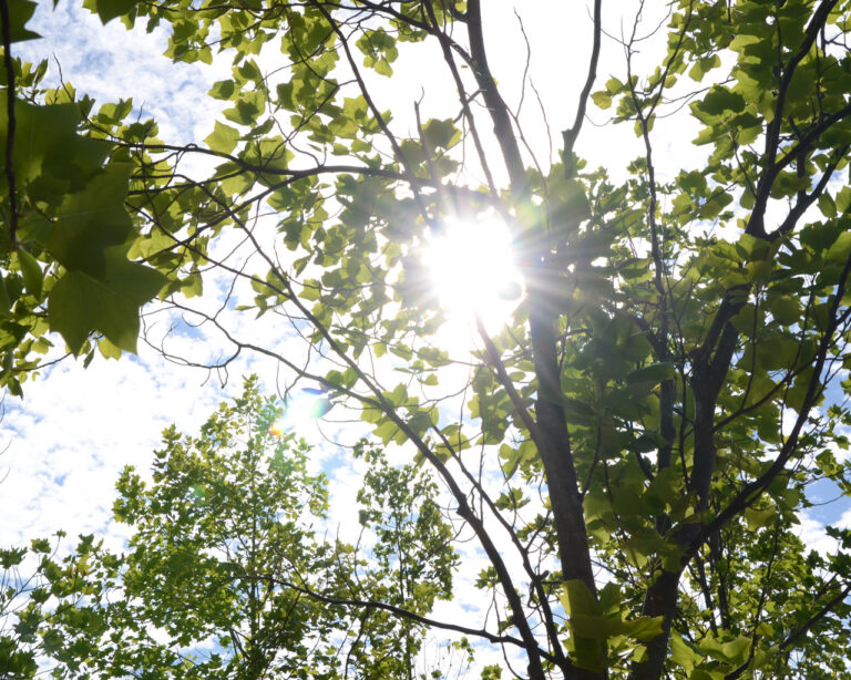 Ola de calor: Se espera primer peak de temperaturas extremas de 2025