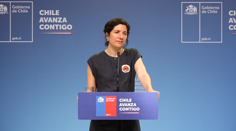 Ministra Etcheverry sobre responsabilidad de las empresas eléctricas: “El interés que debemos proteger es el de las familias”