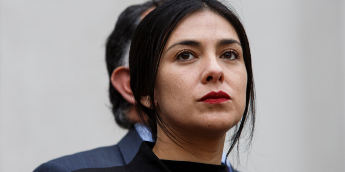 Maternidad amenazada y vulneración al principio de inocencia: CCHDH llamar a cesar malas prácticas en investigación a diputada Cariola