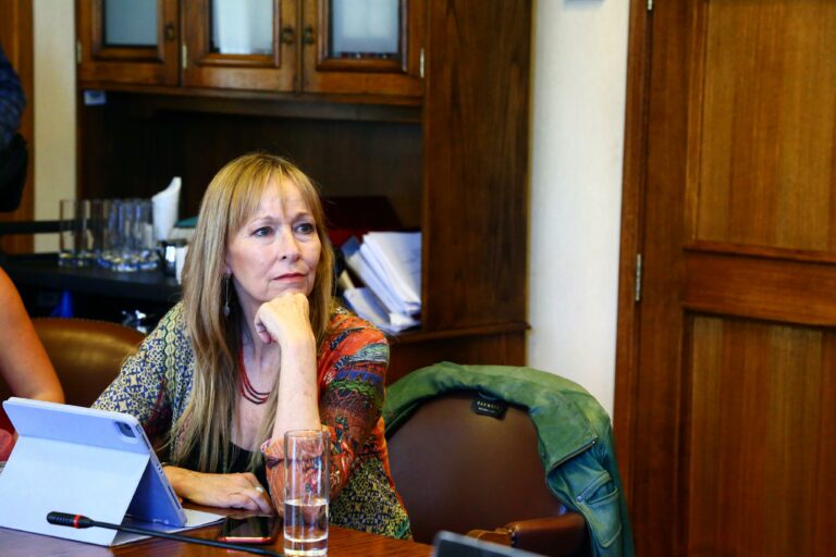 Diputada Gazmuri y tramitación de las RUF: “Es el Ejecutivo quien tiene que actuar con la capacidad de interponer un veto”