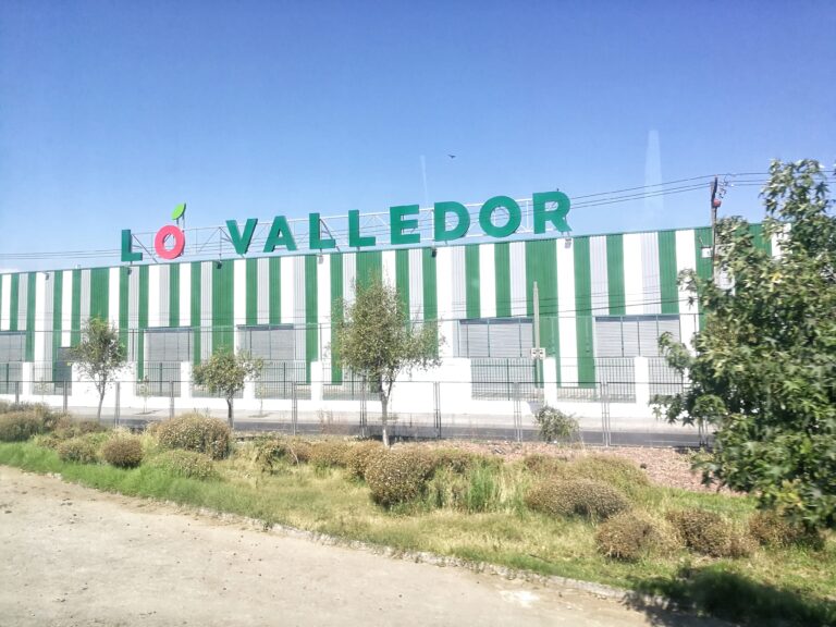 [Podcast] dirigente sindical de Lo Valledor aborda prácticas abusivas al interior del gran mercado del abasto