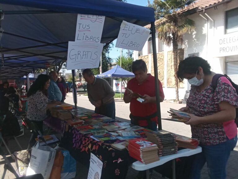 La cultura al alcance de todas y todos: organizaciones de Puente Alto celebraron el Día del Libro