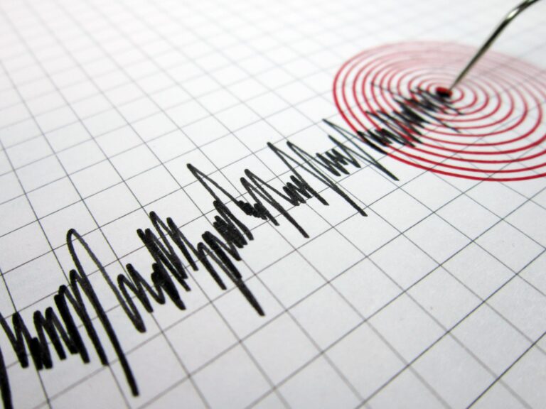 Terremoto de Magallanes fue generado por una Falla Inversa