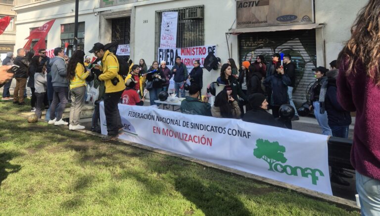 Secretario General de la CUT valora renuncia de la directora de la Conaf