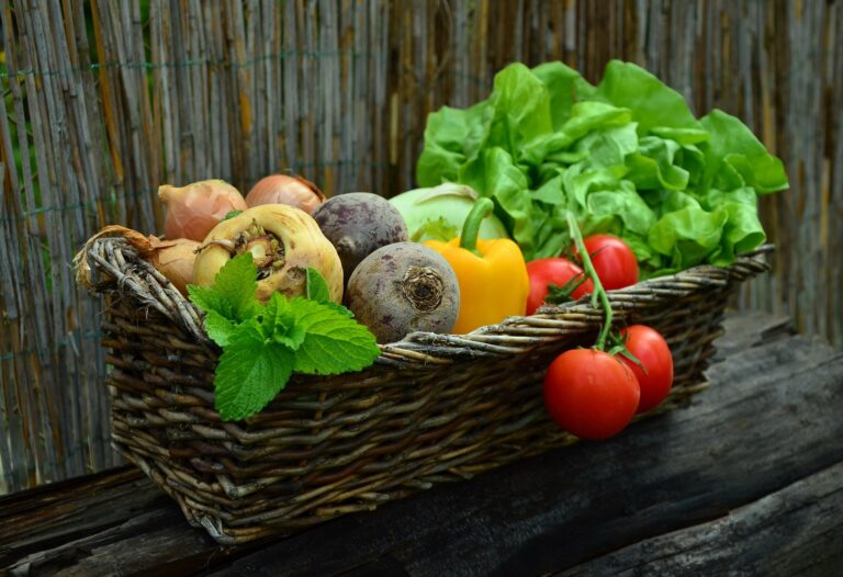 Día de la Inocuidad Alimentaria: el rol de la ciencia en el consumo de alimentos seguros