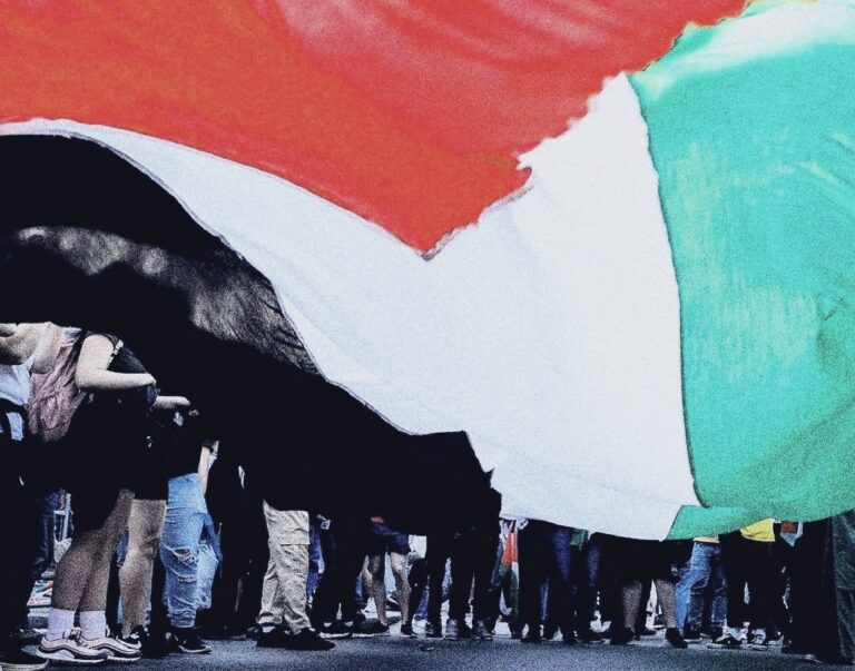 Marcha Mundial por Palestina tiene convocatoria en Santiago este 14 de junio