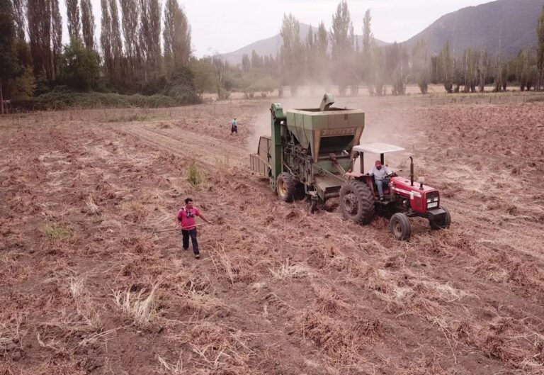 Conectar con las raíces: claves para repensar el emprendimiento juvenil rural en un agro desvalorizado