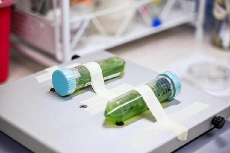 Chile da el primer paso hacia una política pública para el desarrollo de la biotecnología