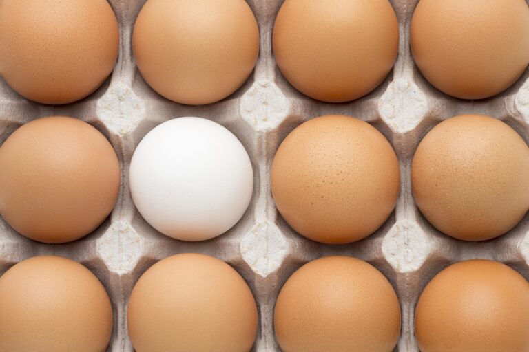 Académica advierte riesgos sanitarios por ingreso ilegal de huevos al país