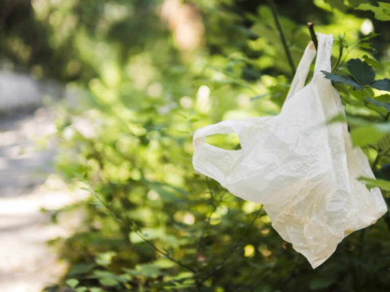 Desafíos del reciclaje de bolsas plásticas en Chile: académicos UOH proponen mejoras técnicas, legislativas y culturales