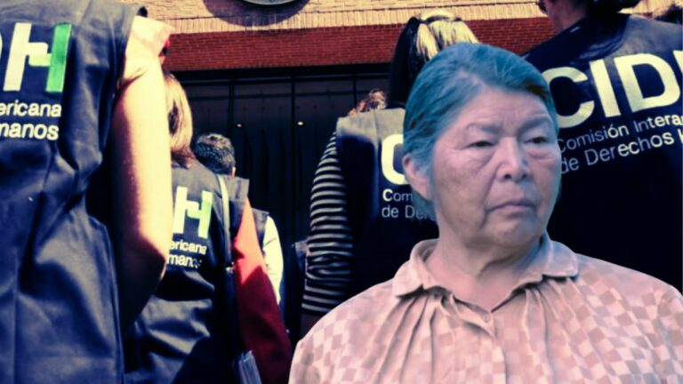 Organizaciones por Julia Chuñil convocan a emplazar al gobierno tras resolución de la Comisión Interamericana de DDHH 