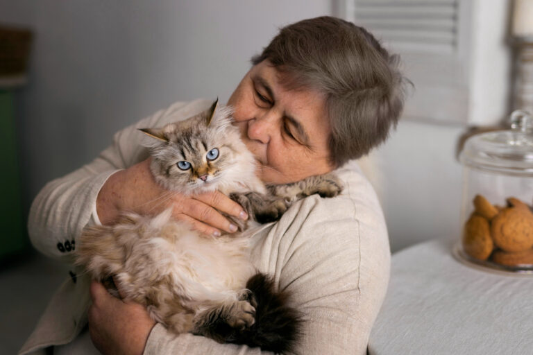Más que compañía: lo que debes saber sobre los gatos en su día internacional