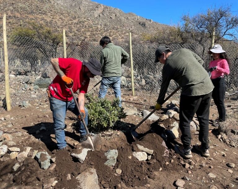 Restauración ecológica en Chile: hacia un modelo que integra ciencia, valores culturales y comunidades locales