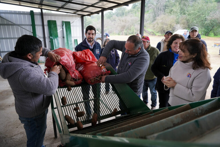 Proveedores campesinos venden por primera vez al Estado hortalizas, fruta y miel a través de ChileCompra