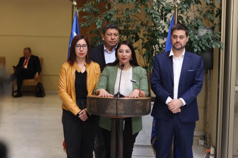 Diputada Nathalie Castillo critica ausencia de José Antonio Kast en comisión investigadora por banda criminal de robo de cables liderada por militante republicano