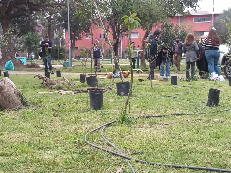 Centro Cultural Camilo Arraño Solís recuerda a joven activista con creación de núcleo arbóreo