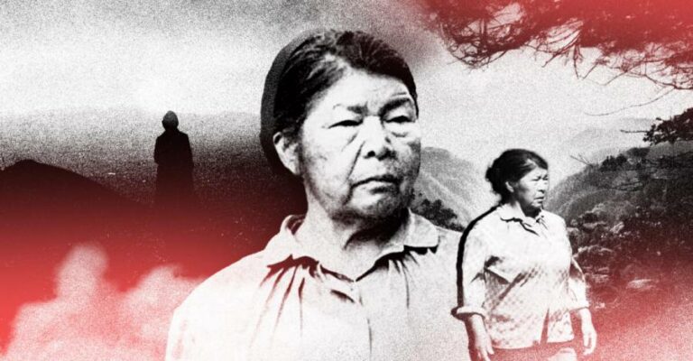 Comité “Día a Día por Julia Chuñil” se une a la marcha por los DD.HH. este domingo 7 de septiembre